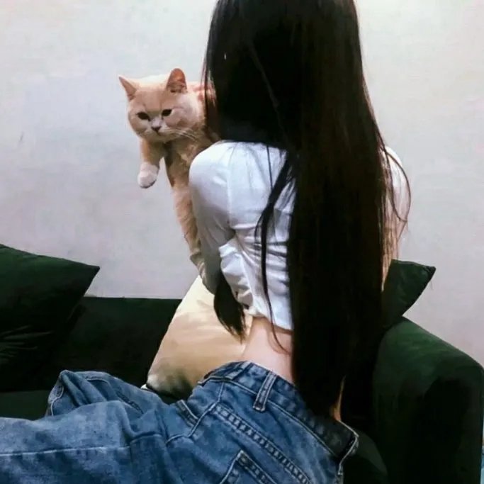 这是什么鬼
